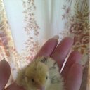 ���� �������, ������ - ��������� 30 ���� 2011 � ������ ���������