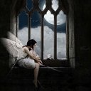 ���� Dj, �����, 41 ��� - ��������� 26 ������� 2009 � ������ �����