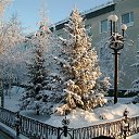 ���� ������, ������ - ��������� 31 ������� 2011 � ������ ���� �����