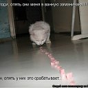 ���� ˸��, ����, 44 ���� - ��������� 26 ���� 2012 � ������ ������