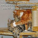 ���� �������, ��������� - ��������� 18 ������ 2012 � ������ ���� ����������