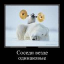 ���� Andrzej, ���� - ��������� 10 ����� 2013 � ������ ������ ��������
