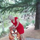 ���� ���, ������-��-����, 53 ���� - ��������� 4 ������ 2012 � ������ ���� ����������