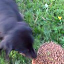 ���� �������, �����-���������, 53 ���� - ��������� 12 ���� 2012 � ������ ���� ����������