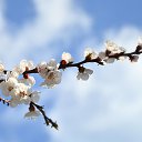 ����� ������... �� ������� ���� ����������