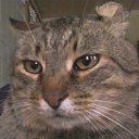 ���� �������, ������, 62 ���� - ��������� 26 ���� 2012