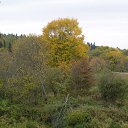 ���� �������, ���������, 24 ���� - ��������� 6 ������� 2011 � ������ ��������!!!�