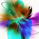 ���� Limon, ���������, 39 ��� - ��������� 16 ���� 2009 � ������ �������