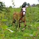 ���� ���������, ������, 62 ���� - ��������� 11 ������� 2012 � ������ ���� ����������