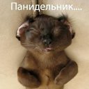 ���� �����, ������, 58 ��� - ��������� 1 �������� 2011 � ������ ���� ����������