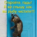 ���� ����������, �����, 24 ���� - ��������� 25 ������ 2011 � ������ ����������� �����