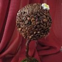  , , 53  -  22  2012   &quot;  &quot;