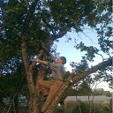 ���� �������, �����-���������, 73 ���� - ��������� 17 ������� 2011