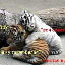 ���� ��, ������������, 39 ��� - ��������� 10 ������ 2011 � ������ ���������
