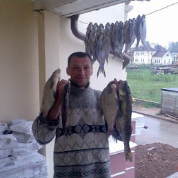 �����, ������, 51 ���