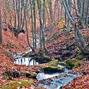 ���� �������, ���� - ��������� 12 ������ 2009 � ������ ����� "��������"�