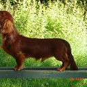 ���� &deg;&bull;*������&deg;&bull;*, ����������, 23 ���� - ��������� 3 ���� 2010 � ������ ��������!�