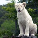 �������� �� ������� ������ ����,��� ����λ