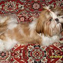 ���� ����, ���������, 52 ���� - ��������� 5 ���� 2013 � ������ ����� ��� ������������