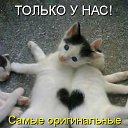 ���� Tata, �������� - ��������� 15 ������� 2010 � ������ ������