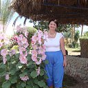  , -, 71  -  31  2013    2013