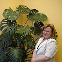 ��������, ������ 2010