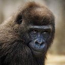 ���� ������, ������ ��������, 49 ��� - ��������� 12 �������� 2011