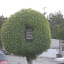 ���� �������, ���������, 35 ��� - ��������� 23 ����� 2010 � ������ ������ ������ �����