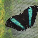 ���� ����, �����-���������, 57 ��� - ��������� 6 ������ 2011 � ������ ���� �������