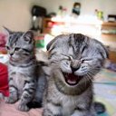 ���� �������, ������, 56 ��� - ��������� 7 ����� 2012