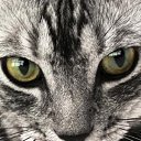 ���� ������, �������, 55 ��� - ��������� 6 ���� 2012 � ������ ���� ����������