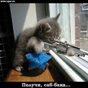 ���� ����, ������, 48 ��� - ��������� 8 ���� 2011 � ������ ����