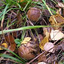 ���� �������, ���������, 24 ���� - ��������� 6 ������� 2011 � ������ ��������!!!�