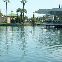 ����� ���� ��������" ����� ������" �� ������� �� �������