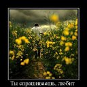 ���� Serega, ��������� - ��������� 15 ������ 2010 � ������ ��������������