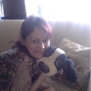 ���� ������ �����, ���������� ����� - ��������� 20 ��� 2012 � ������ ���� ����������