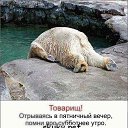 ���� �����, �������, 63 ���� - ��������� 2 �������� 2012