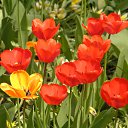  ok, --, 44  -  7  2010   