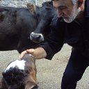 ���� ����, ������, 71 ��� - ��������� 5 ��� 2012 � ������ ���� ����������