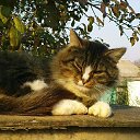 ���� �������, ������, 59 ��� - ��������� 26 ������� 2012 � ������ ���� ����������