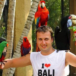 ���� ��������, ������ - ��������� 1 ���� 2011