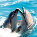 ���� �����, ������, 52 ���� - ��������� 30 ������� 2012 � ������ �������