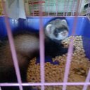 ���� ������� Sony, ������, 41 ��� - ��������� 6 ������ 2010 � ������ ��������