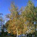 ���� ����(�� �������), ��������������, 62 ���� - ��������� 14 ������� 2011 � ������ ���������������