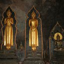 ���� �����, ������, 53 ���� - ��������� 16 ������� 2011 � ������ ���� ����������