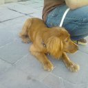 ���� �������, ����� - ��������� 20 ���� 2012 � ������ ������ �� ����