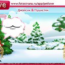   , , 69  -  30  2011   PetLove