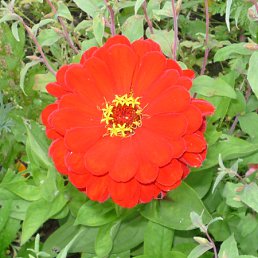 ���� ����, ����������� - ��������� 8 ���� 2010