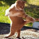 ���� Monea, ������, 53 ���� - ��������� 11 ������� 2011 � ������ ���� ����������