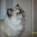 ���� ���, ���������� - ��������� 8 ����� 2010 � ������ ���� ��������!!!�